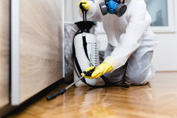 Pest Prevention Services in Lawrenceville, GA