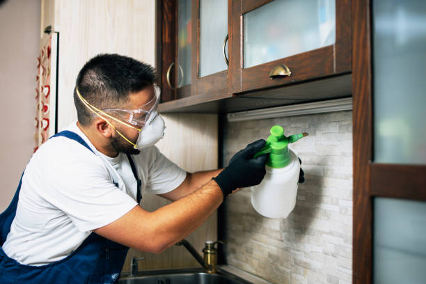 Reliable Lawrenceville, GA Pest Control Solutions