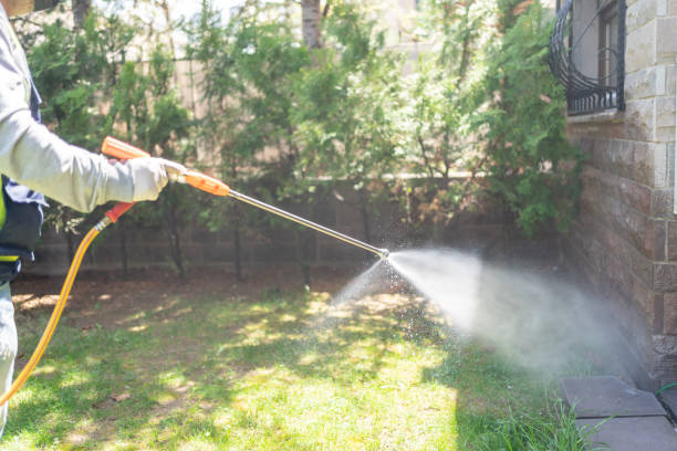 Best Insect Control  in Lawrenceville, GA