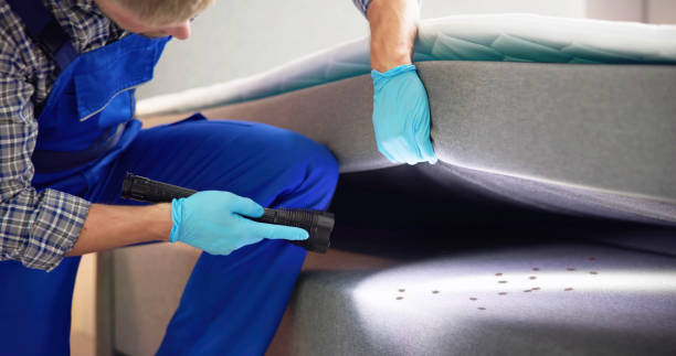 Best Flea Control Services  in Lawrenceville, GA