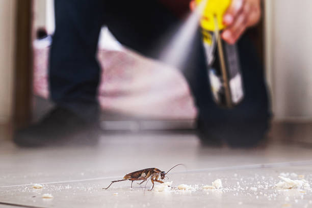 Best Best Pest Control Companies  in Lawrenceville, GA