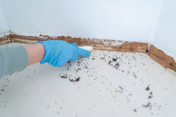 Best Residential Pest Control  in Lawrenceville, GA