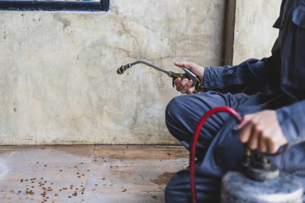 Best Flea Control Services  in Lawrenceville, GA